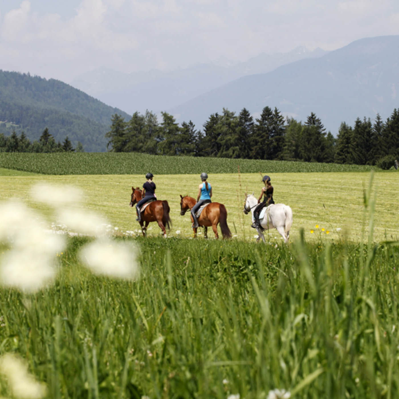 Reiten im Pustertal